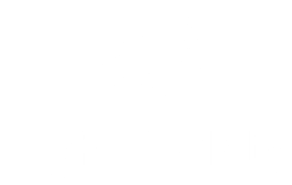 High Koalaty